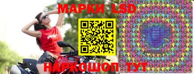 герыч Кингисепп