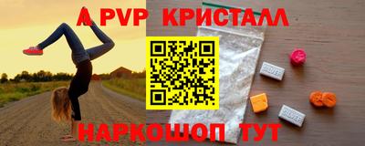 герыч Кингисепп